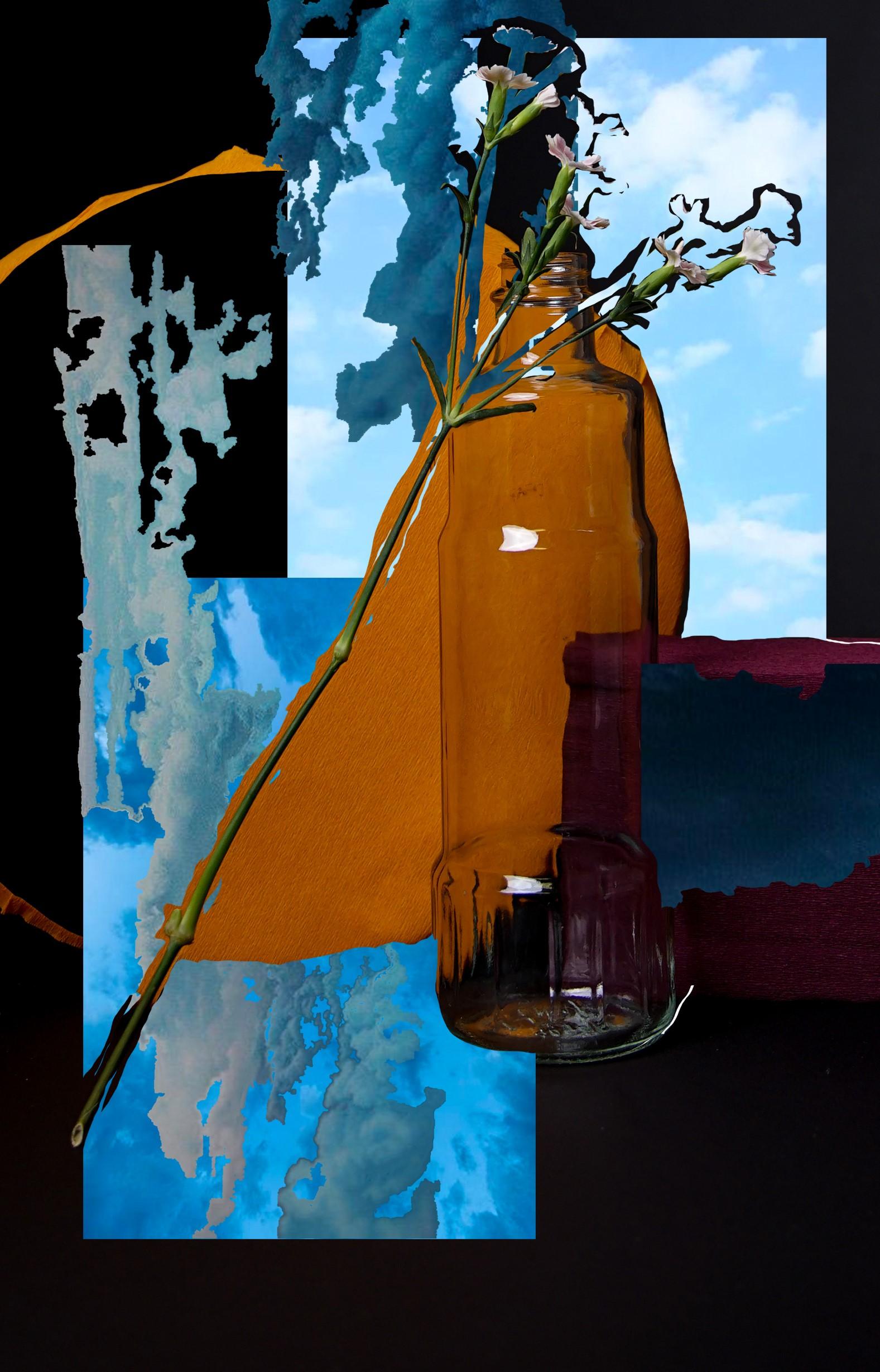 Unbenannt  Abstrakte Serie #5. Aus der Serie „Es ist ein Ozean in meinem Glas“  Foto (Schwarz), Still-Life Photograph, von Ying Chen