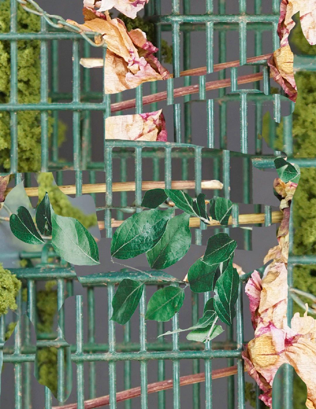 Ohne Titel #6. Aus der Serie „There is an my glass II“ Abstrakt  Foto (Grau), Color Photograph, von Ying Chen