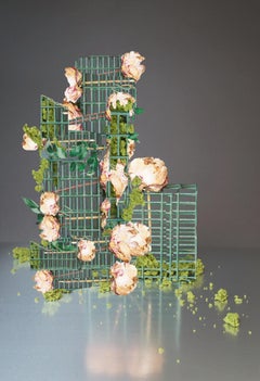 Untitled #6. From the series There is an ocean in my glass II