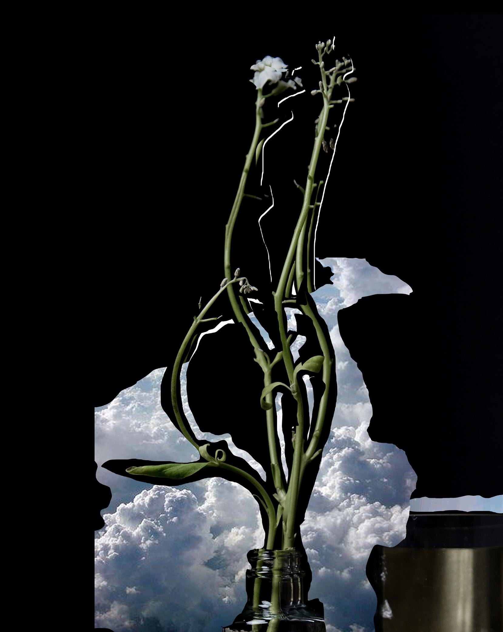 Abstrakte Fotografie ohne Titel #7 aus der Serie „Es ist ein Ozeandampfer in meinem Glas“ (Schwarz), Color Photograph, von Ying Chen