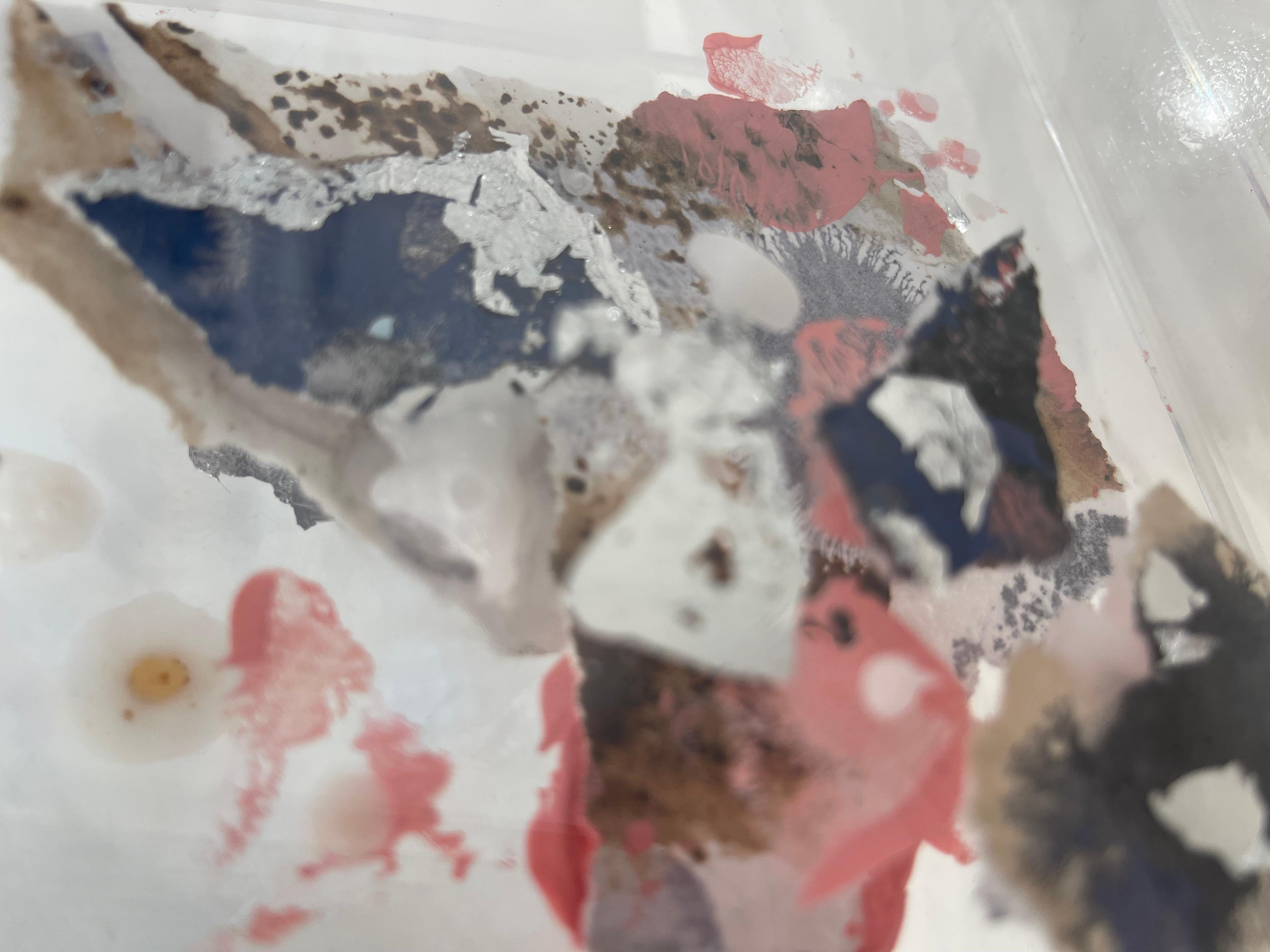 (In) Visible Cycles II For Sale 6