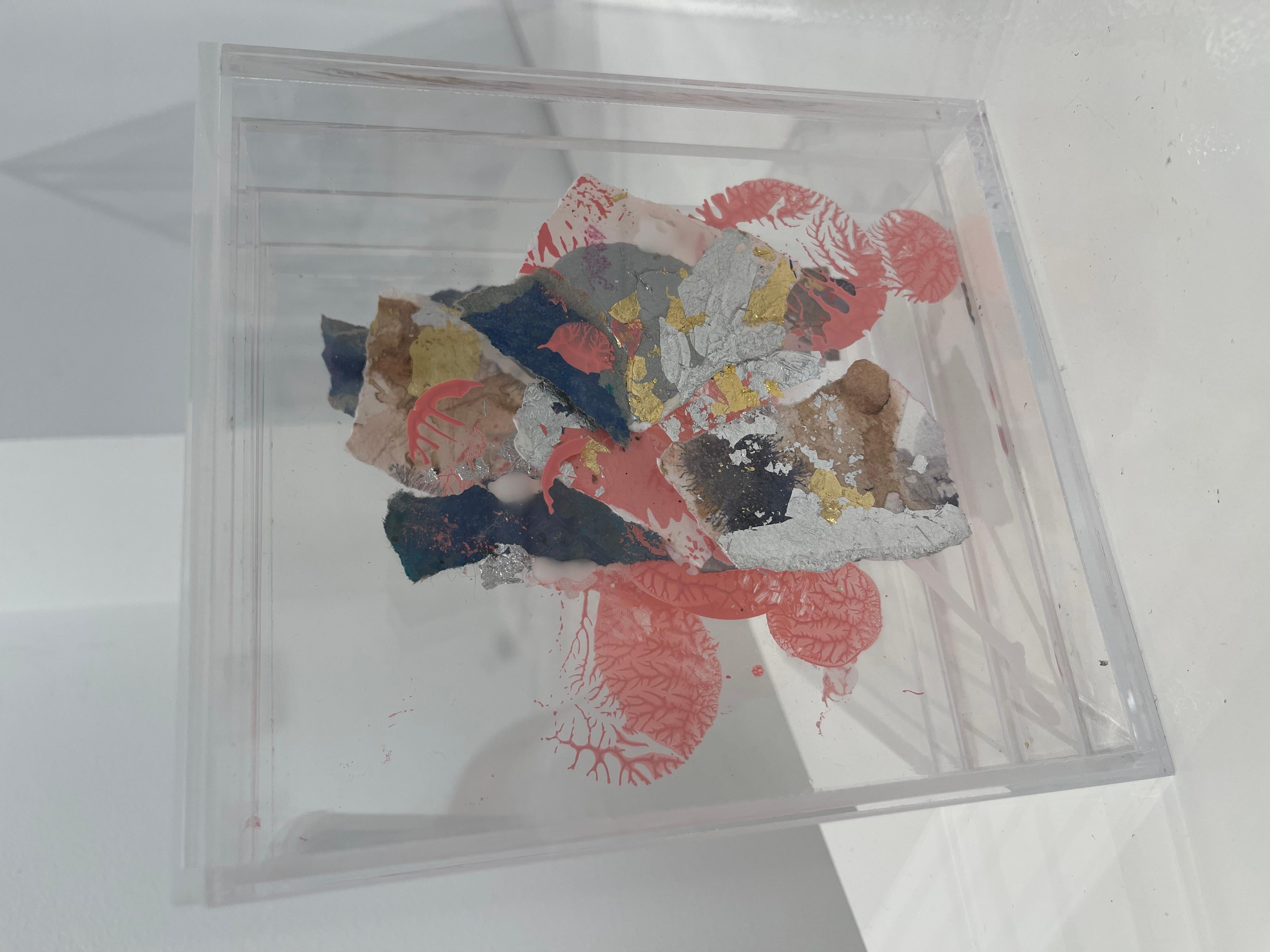 (En) Ciclos visibles III en venta 10