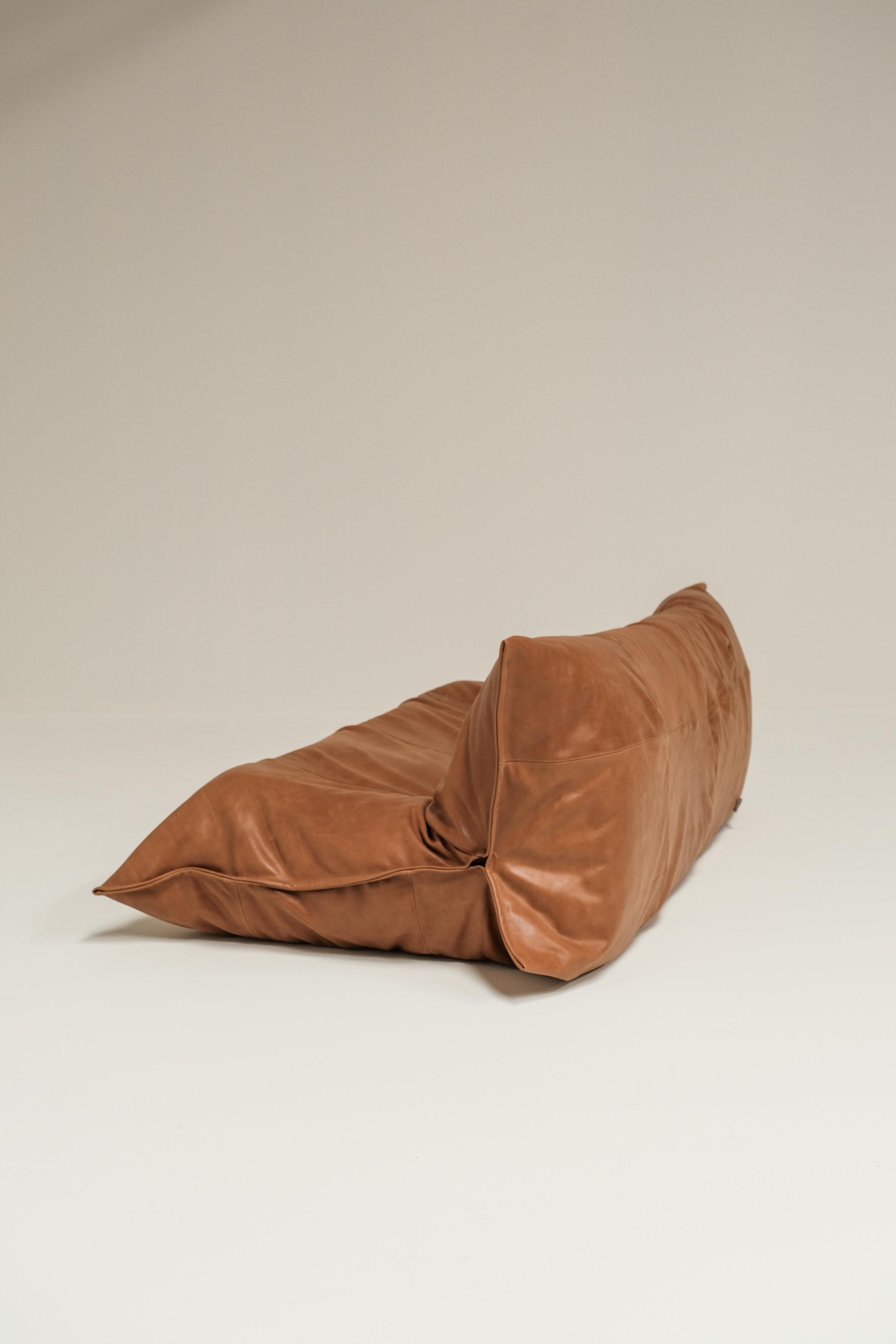 ligne roset yoko sofa
