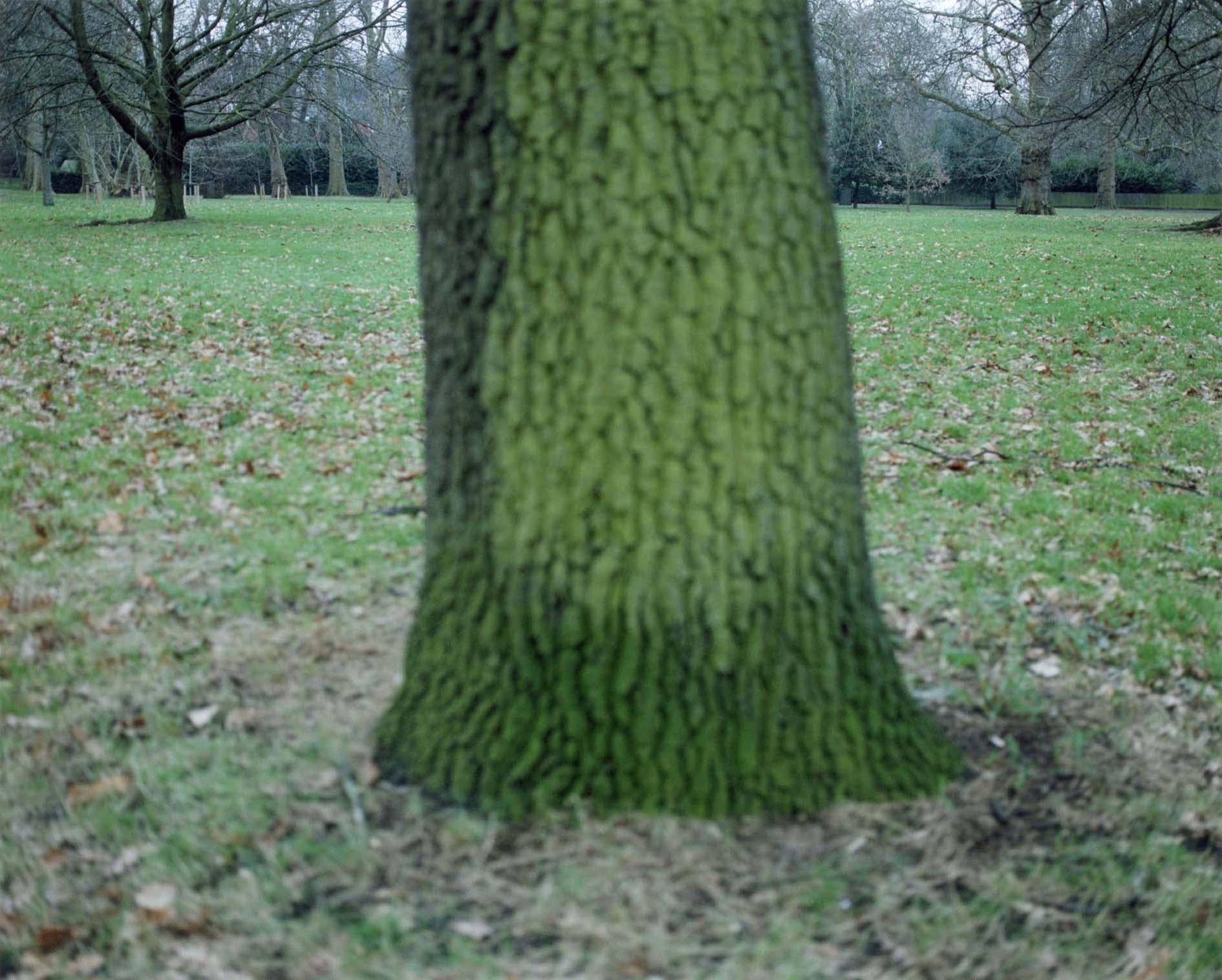 Color Photograph de Yoko Ikeda - Londres, Reino Unido (1583-09)