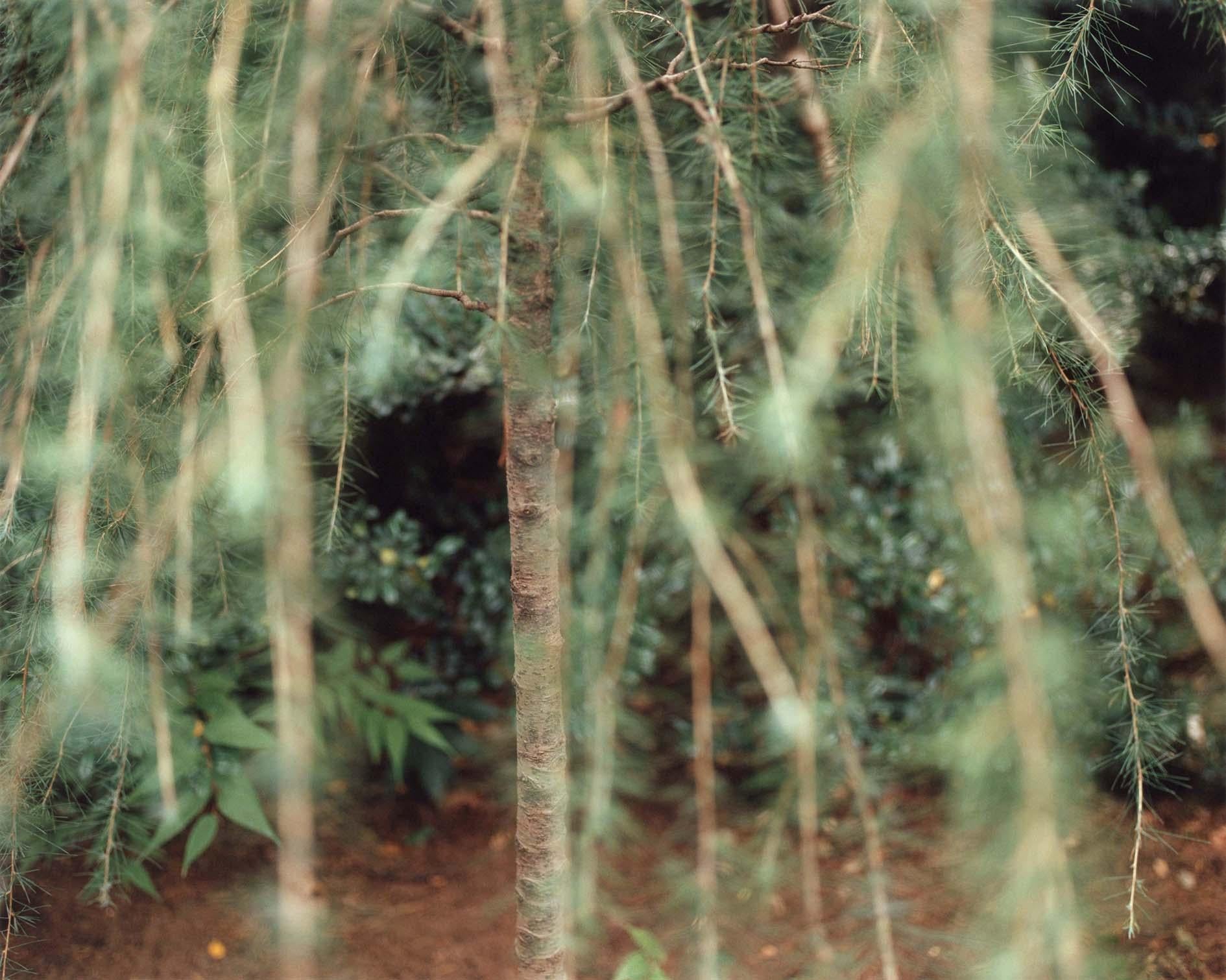 Color Photograph Yoko Ikeda - Minato Ward, Tokyo (0978-04)