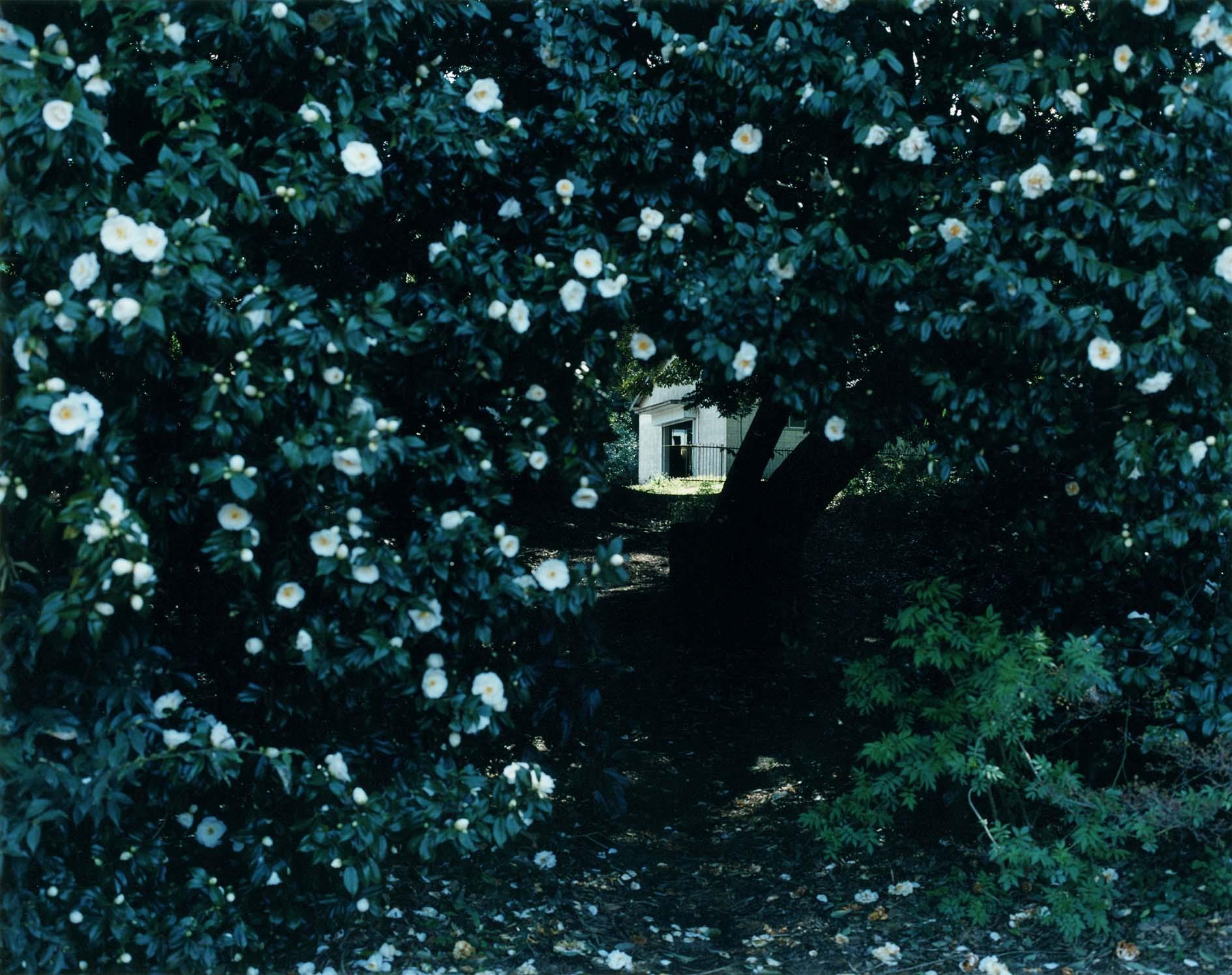 Yoko Ikeda Landscape Photograph – Shinjuku Ward, Tokio (0960-04)