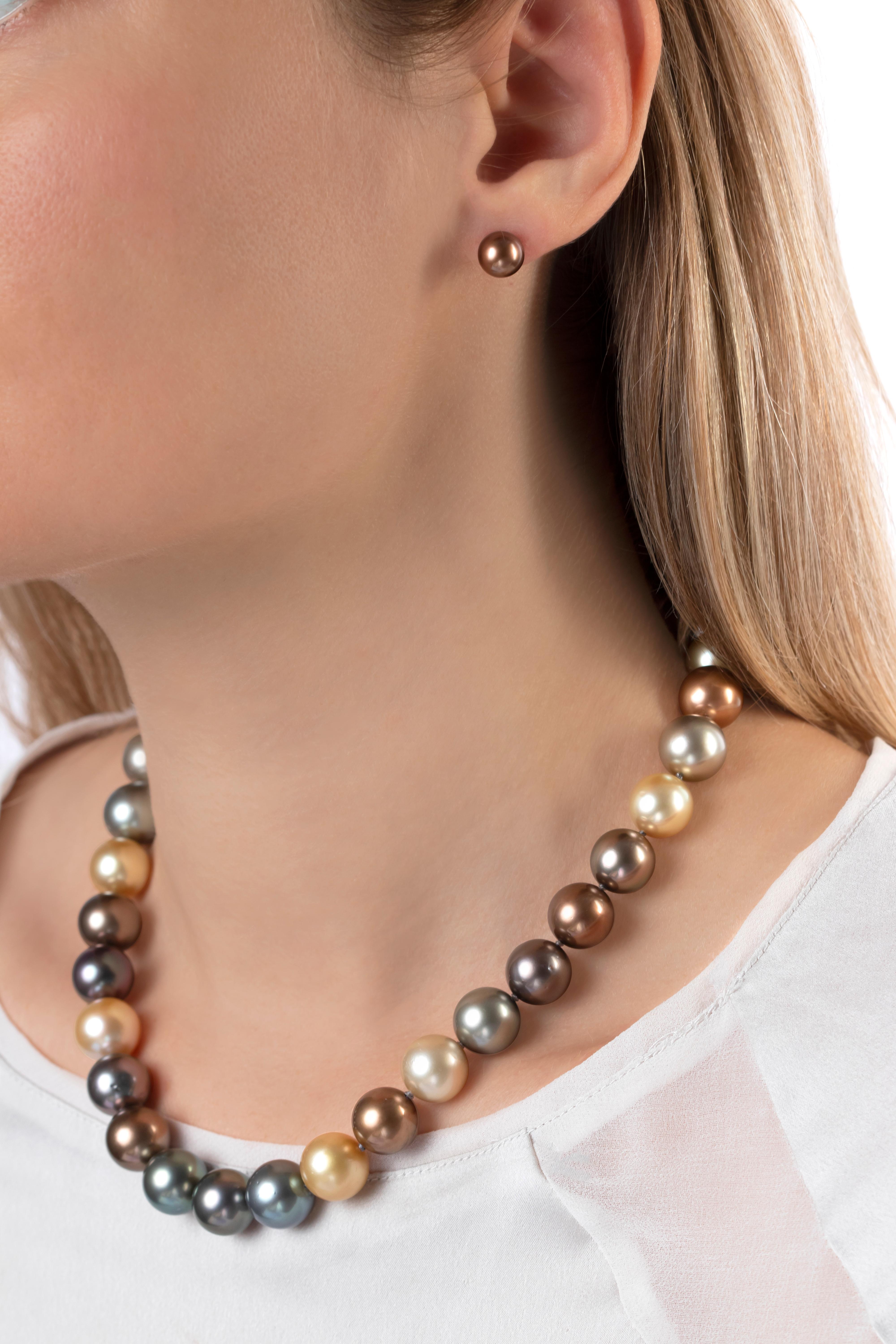 chocolate tahitian pearl earrings