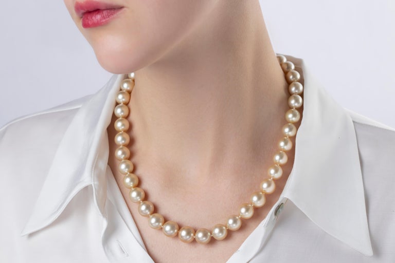 Yoko London Golden South Sea Pearl Classic Necklace on 18 Karat White ...