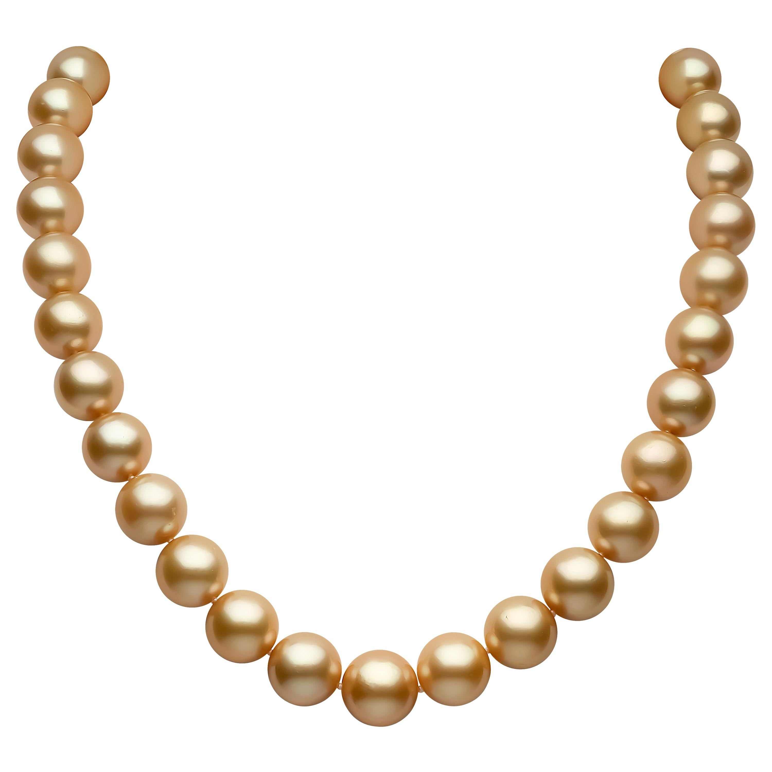 Yoko London Golden South Sea Pearl Classic Necklace on 18 Karat Yellow Gold For Sale