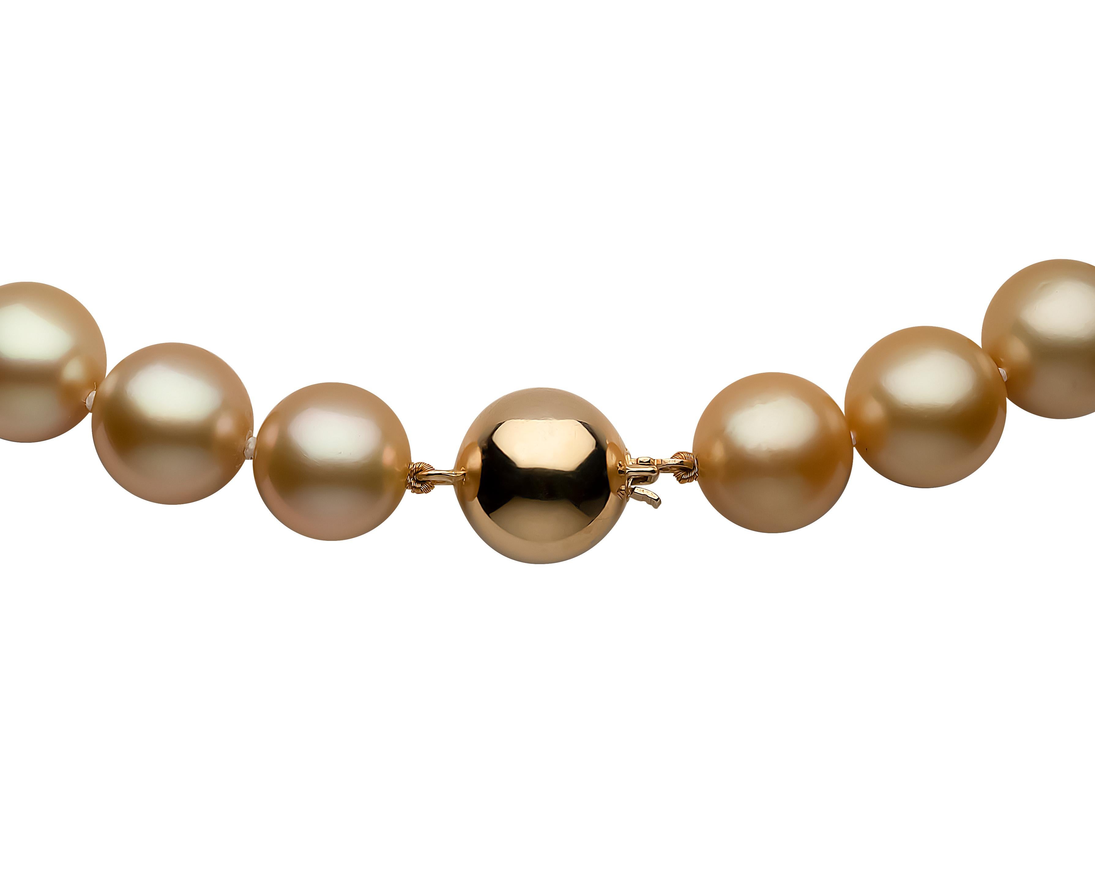 Yoko London Goldene Südseeperlen Classic Halskette auf 18 Karat Gelbgold Damen im Angebot