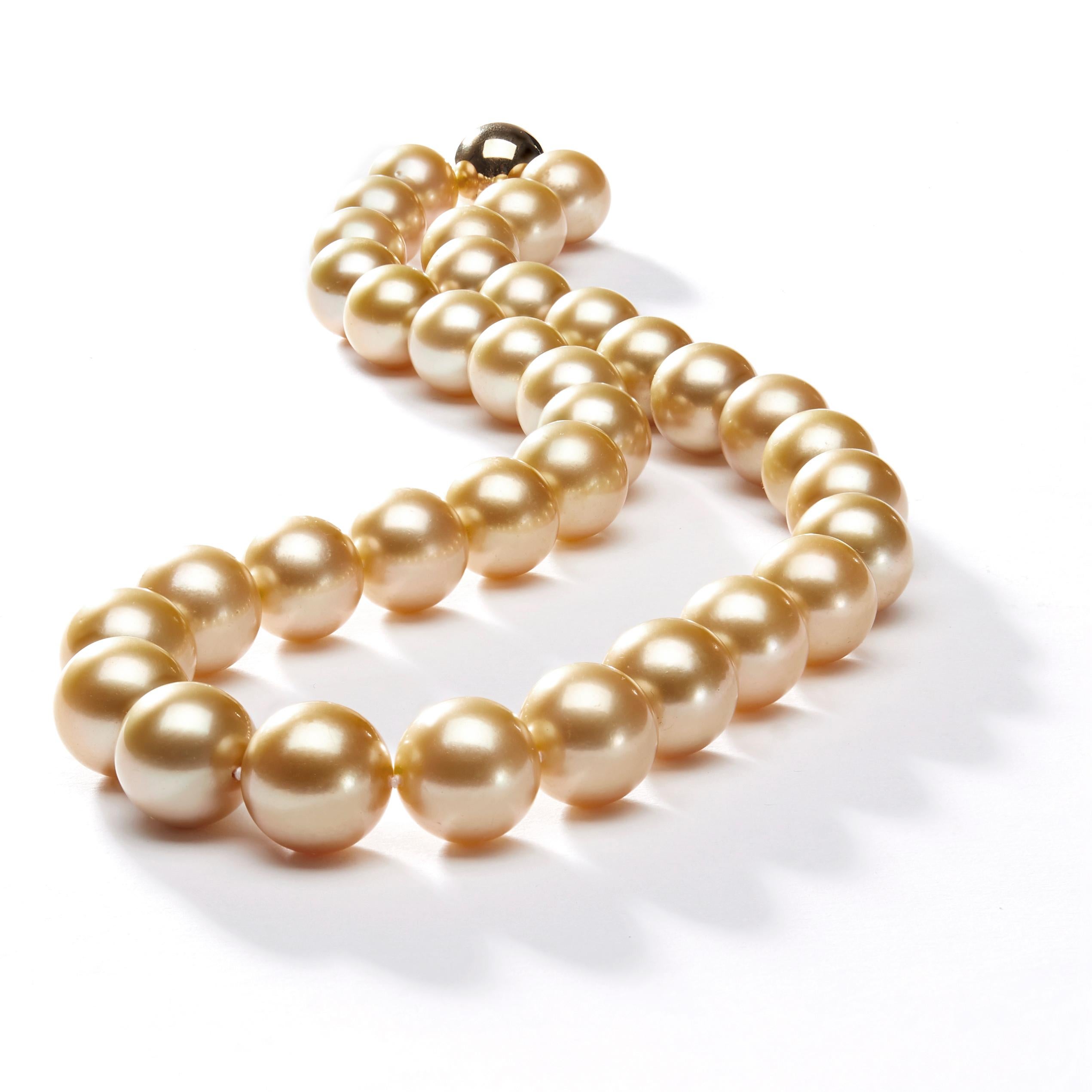 Round Cut Yoko London Golden South Sea Pearl Classic Necklace on 18 Karat Yellow Gold For Sale