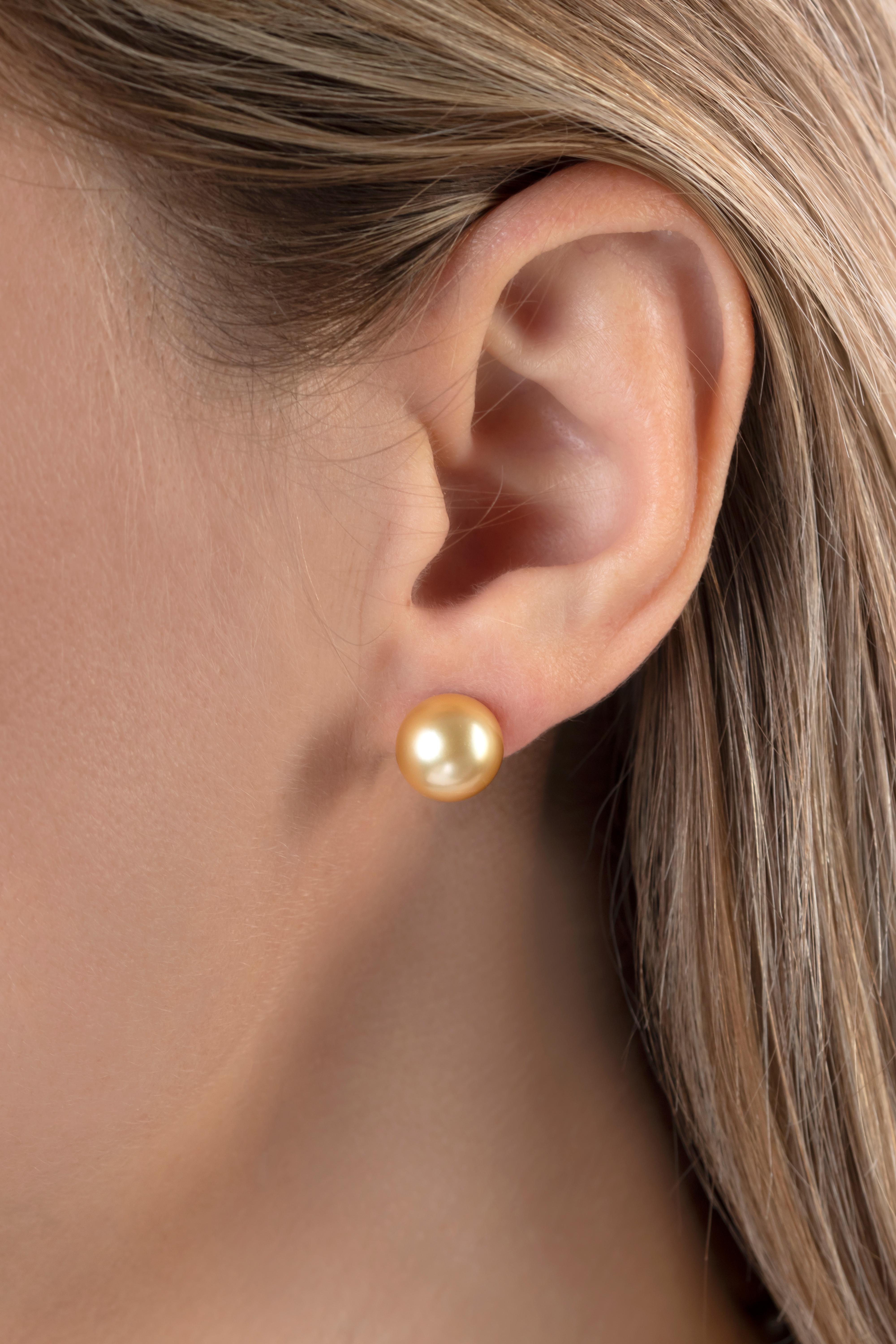 Contemporary Yoko London Golden South Sea Pearl Stud Earring in 18 Karat White Gold