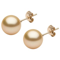 Yoko London Golden South Sea Pearl Stud Earrings in 18 Karat Yellow Gold