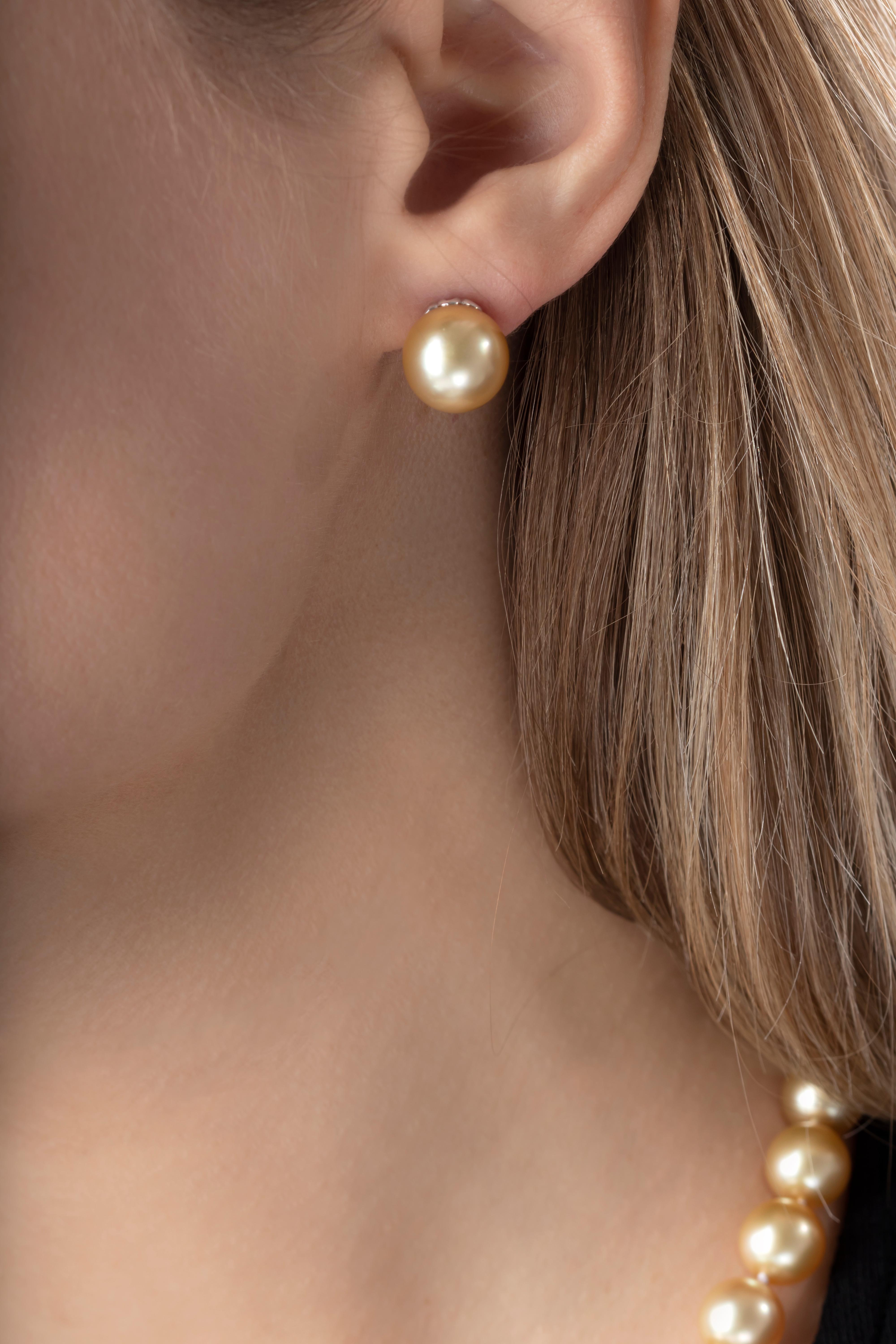These elegant natural-coloured Golden South Sea pearl studs from Yoko London are a jewellery box essential. The rarest of all pearl varieties, these Golden South Sea pearls possess a magnificent hue which is perfectly accentuated by the understated