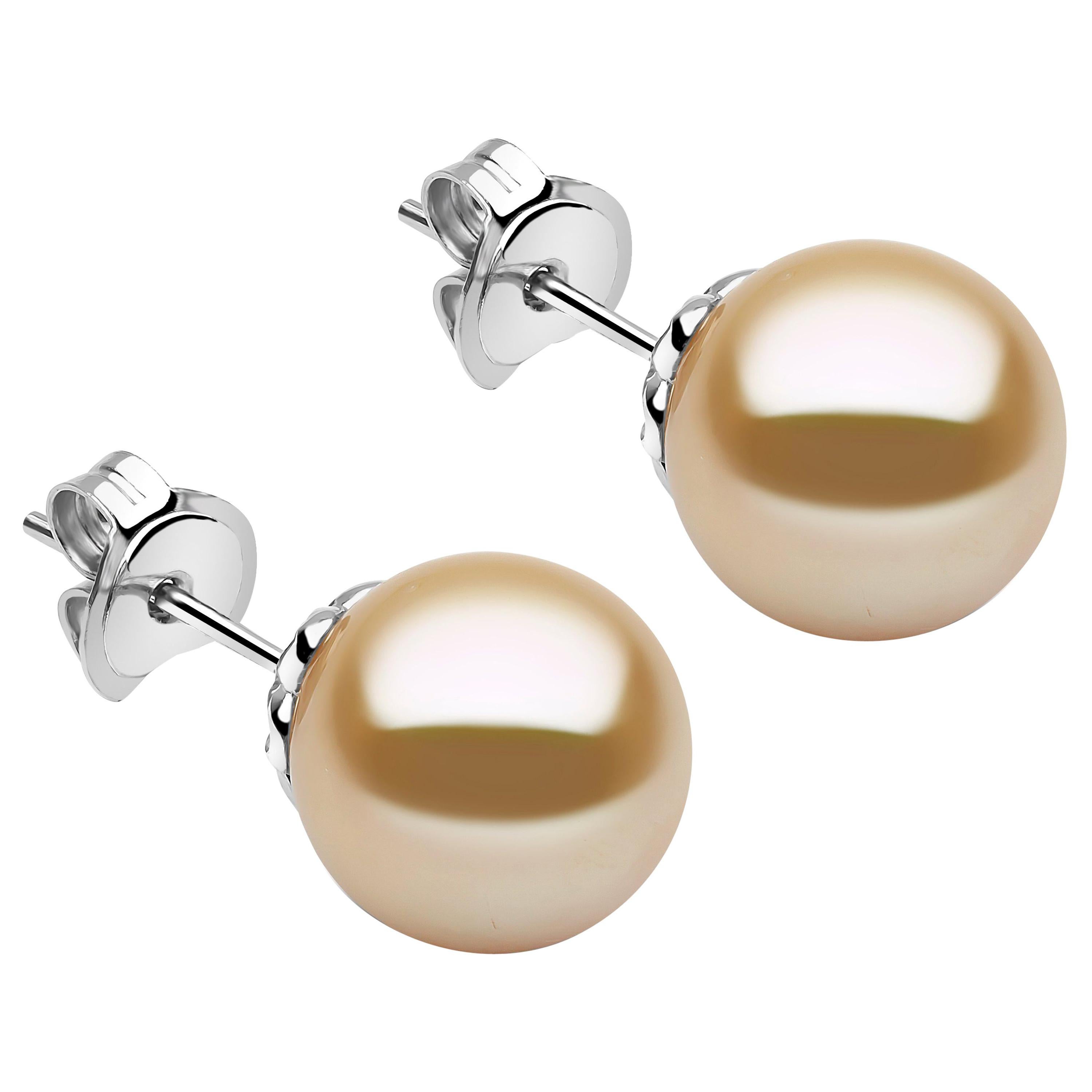 Yoko London Golden South Sea Pearl Stud Earrings Set in 18 Karat White Gold
