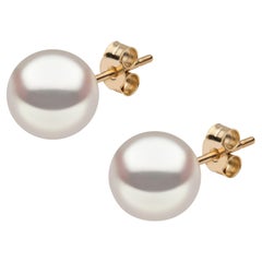 Yoko London Japanese Akoya Pearl Stud Earrings in 18 Karat Yellow Gold