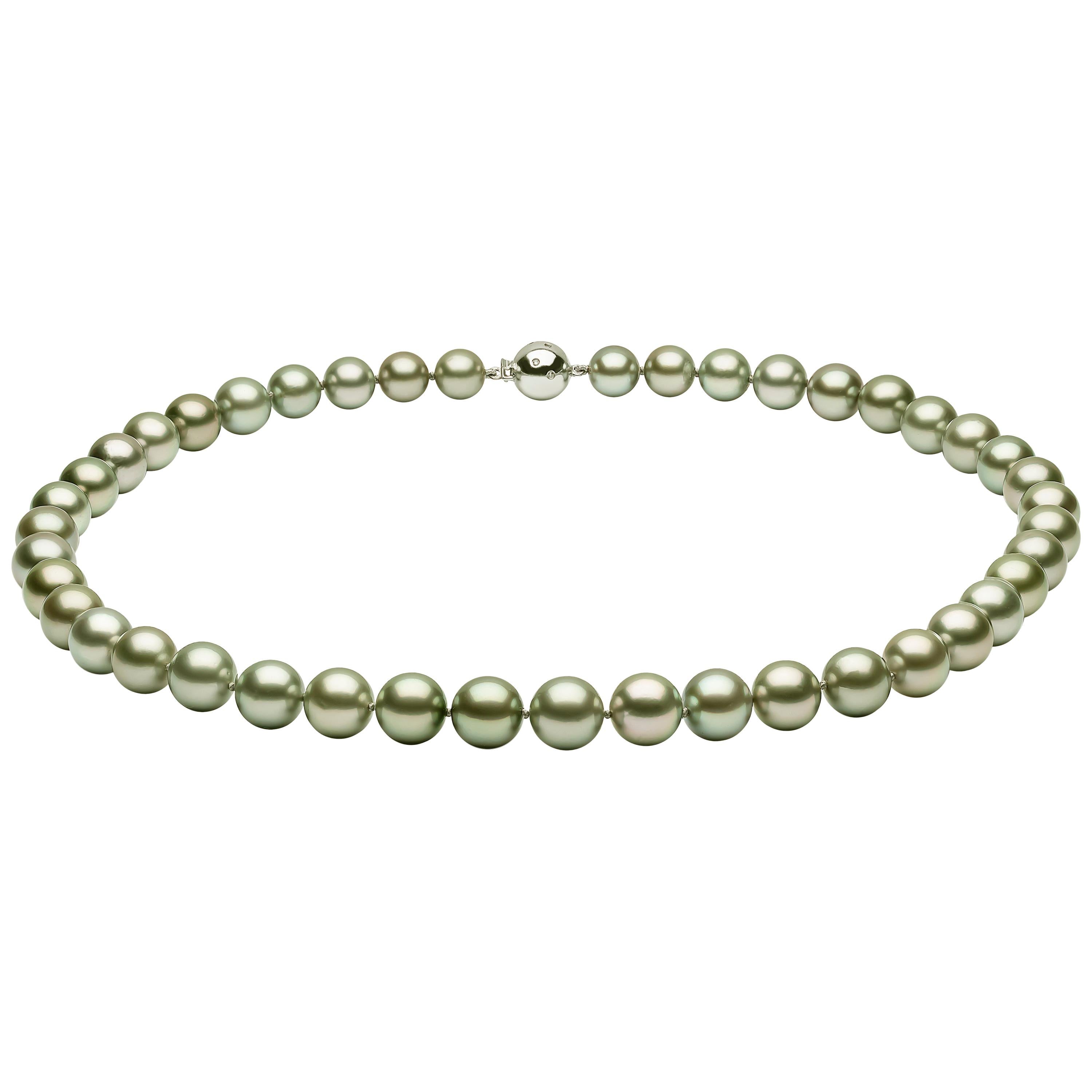 Yoko London Pistachio Colored Tahitian Pearl Classic Necklace on 18 Karat Gold