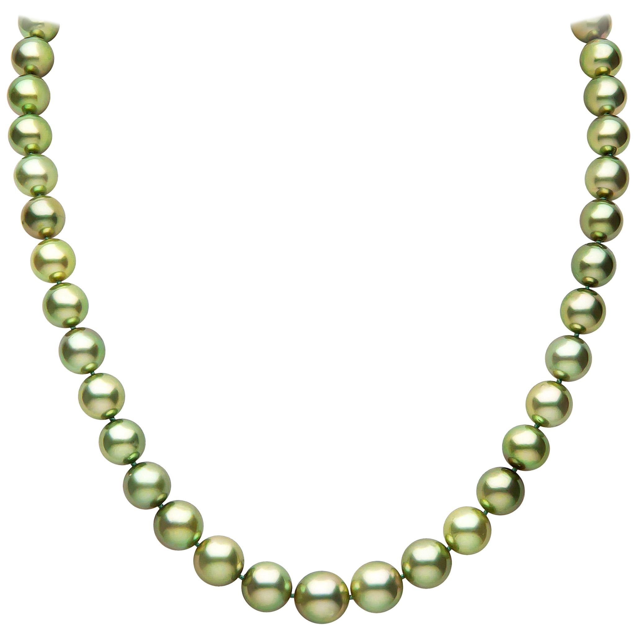 Yoko London Pistachio-Coloured Tahitian Pearl Classic Necklace in 18 Karat Gold