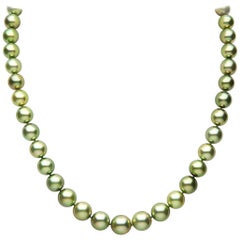 Yoko London Pistachio-Coloured Tahitian Pearl Classic Necklace in 18 Karat Gold