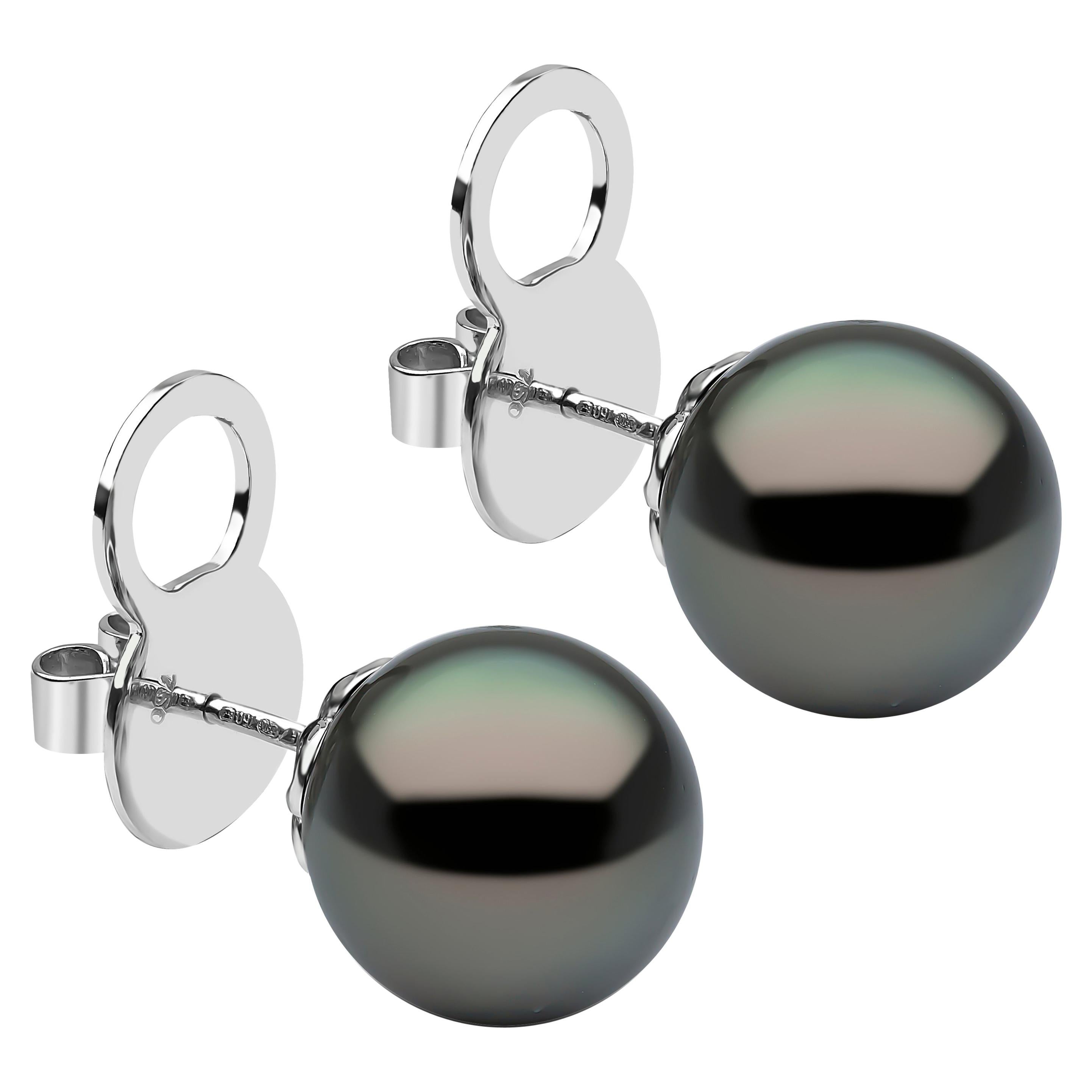 Yoko London Tahitian Stud Earrings Set in 18 Karat White Gold