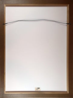 Man Powered Airplane Solomon (Jun Rope)