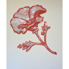 Gracias (Amapola) de Yoram Wolberger, 2023