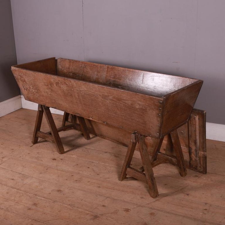 Yorkshire Elm Grain Bin For Sale at 1stDibs