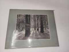 Yosemite y la gama de la luz Ansel Adams Firmado 1ª Edición