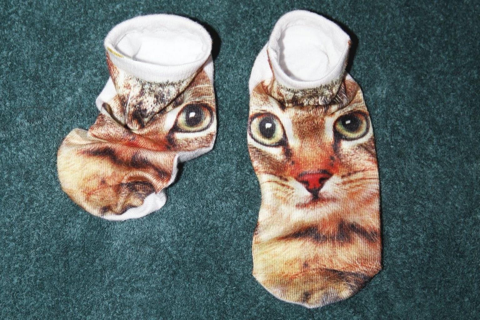 colors 044 – Yoshinori Mizutani, Colour, Street Photography, Cats, Socks, Animal For Sale 3