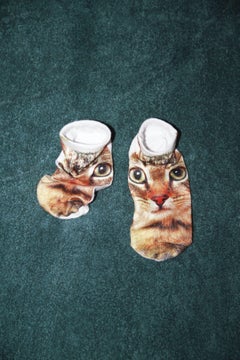 colori 044 - Yoshinori Mizutani, Colore, Fotografia di strada, Gatti, Calzini, Animale
