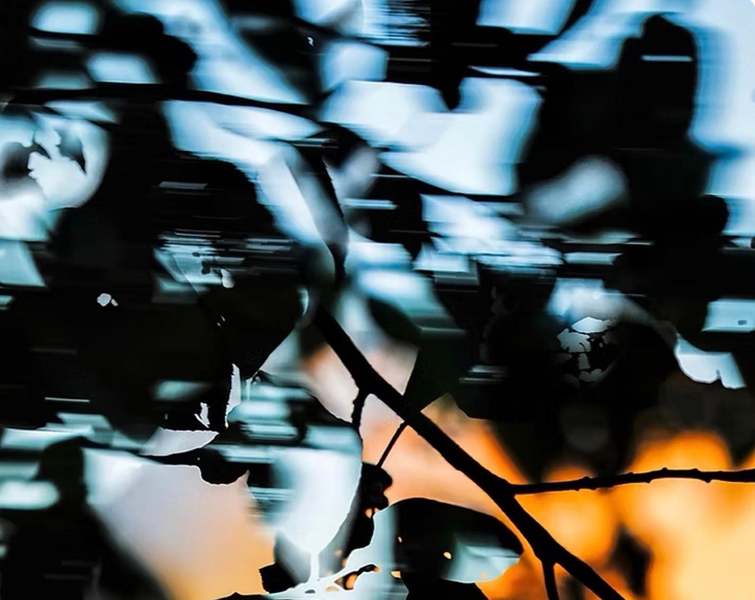 HDR nature 000 - Photograph de Yoshinori Mizutani