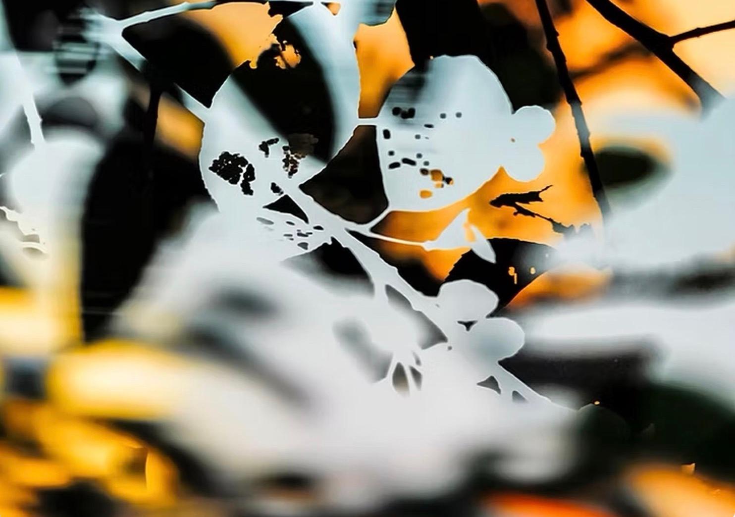 HDR nature 000 - Contemporain Photograph par Yoshinori Mizutani