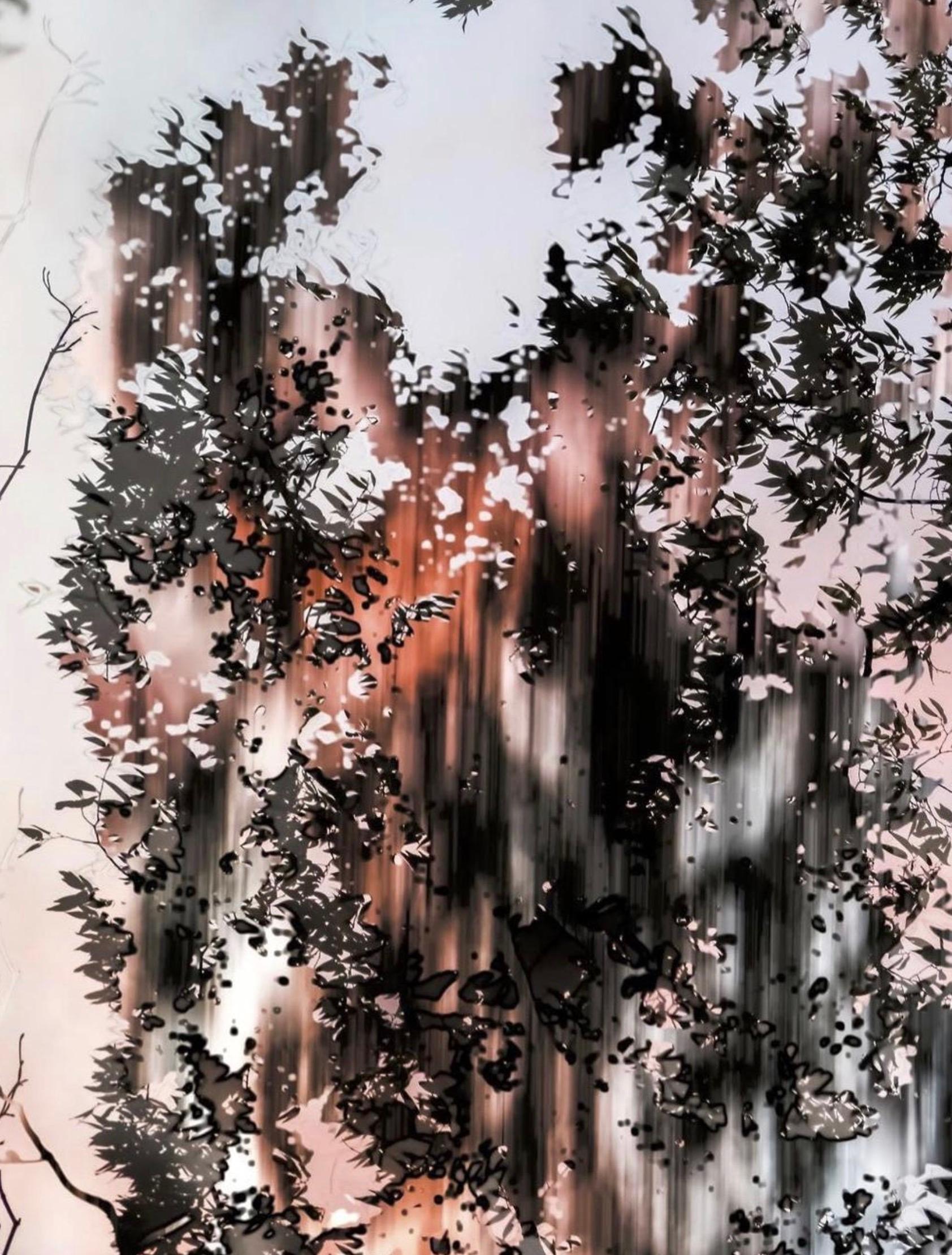 HDR nature 005 - Photograph de Yoshinori Mizutani