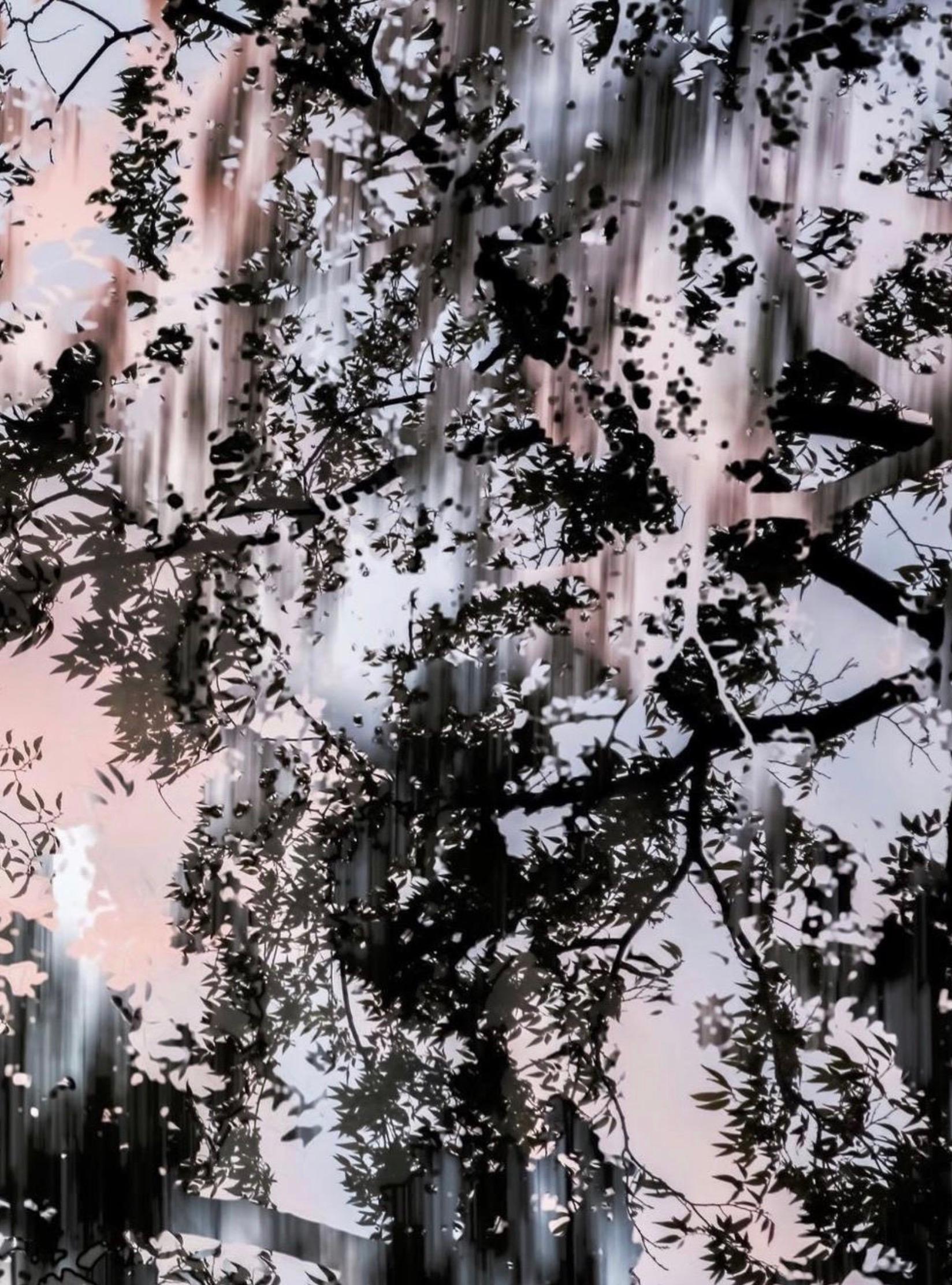 HDR nature 005 - Contemporain Photograph par Yoshinori Mizutani