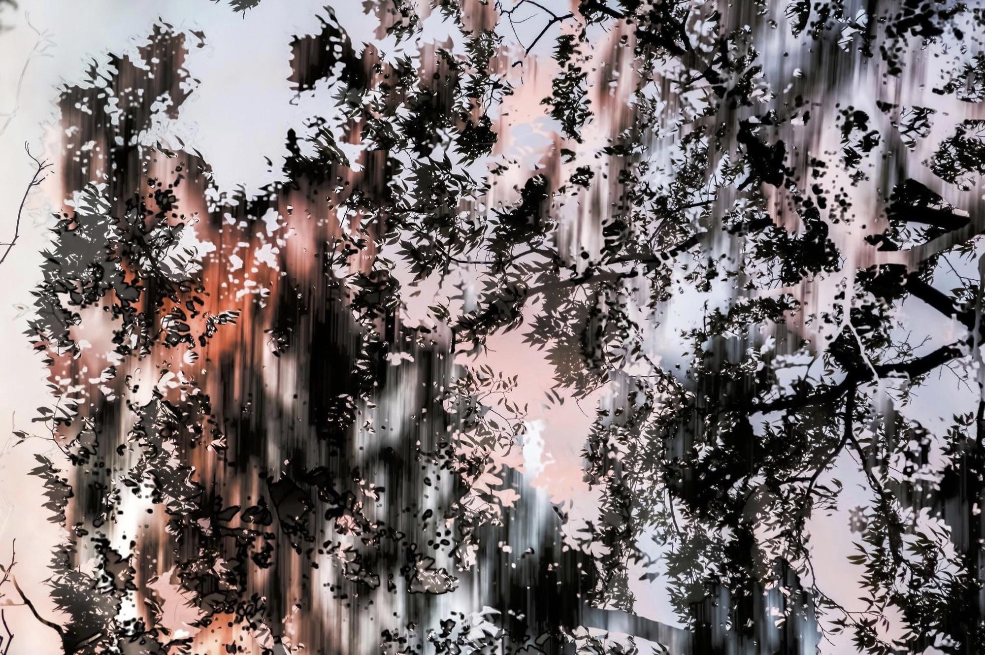 Color Photograph Yoshinori Mizutani - HDR nature 005