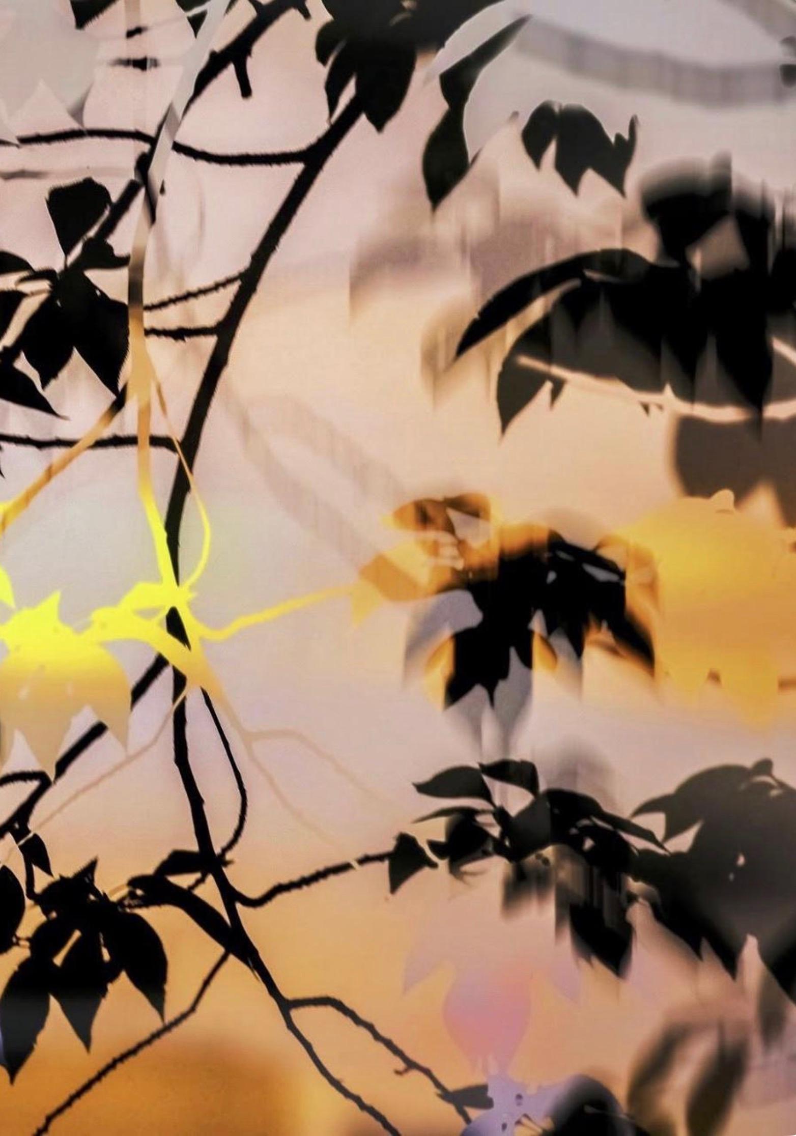 HDR nature 008 - Photograph by Yoshinori Mizutani