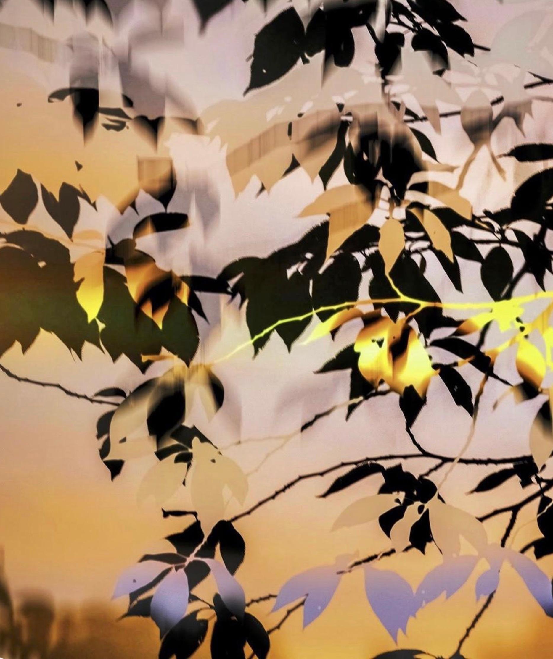 HDR nature 008 - Contemporary Photograph by Yoshinori Mizutani