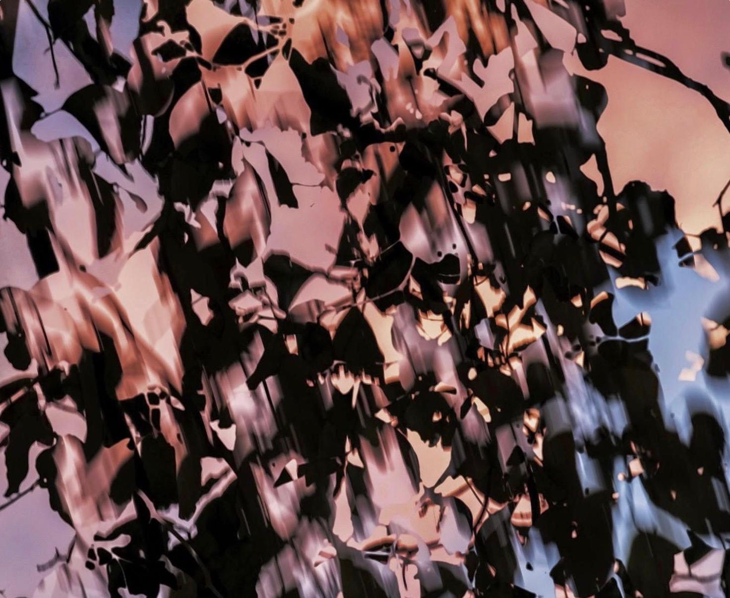 HDR nature 014 - Photograph by Yoshinori Mizutani