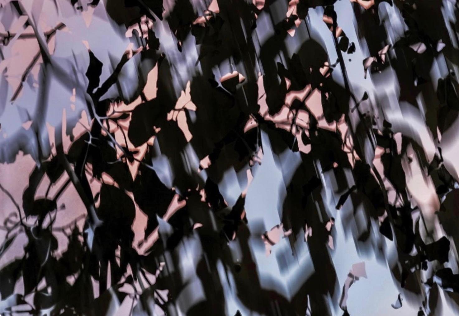 HDR nature 014 - Contemporary Photograph by Yoshinori Mizutani