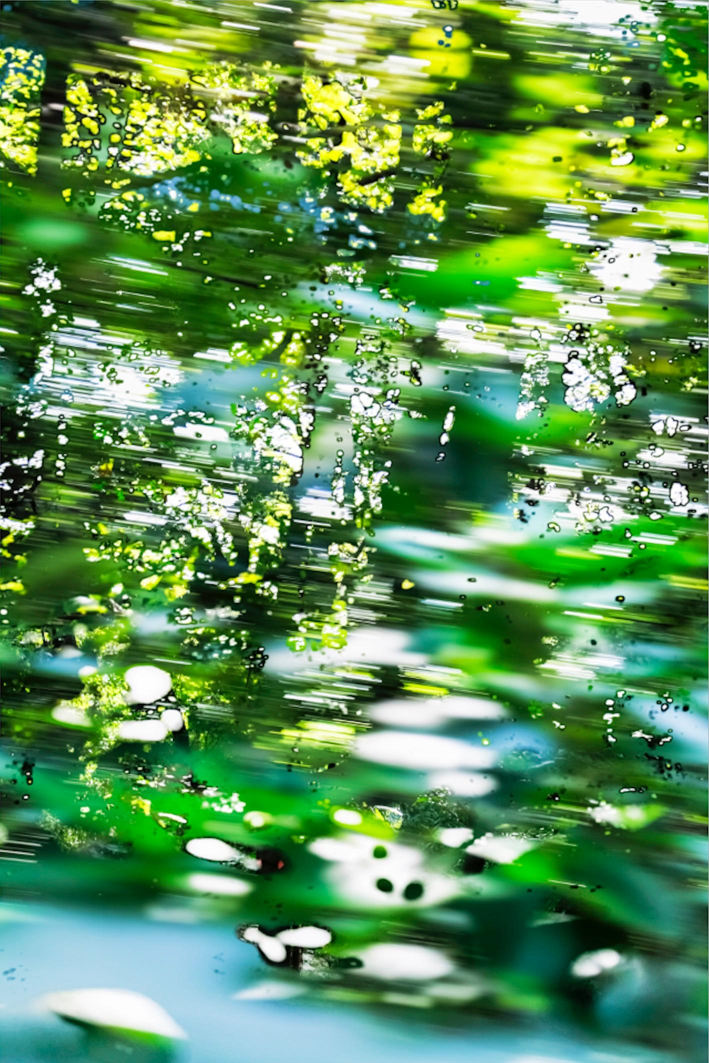 HDR nature 024