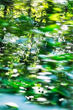 HDR_nature 024