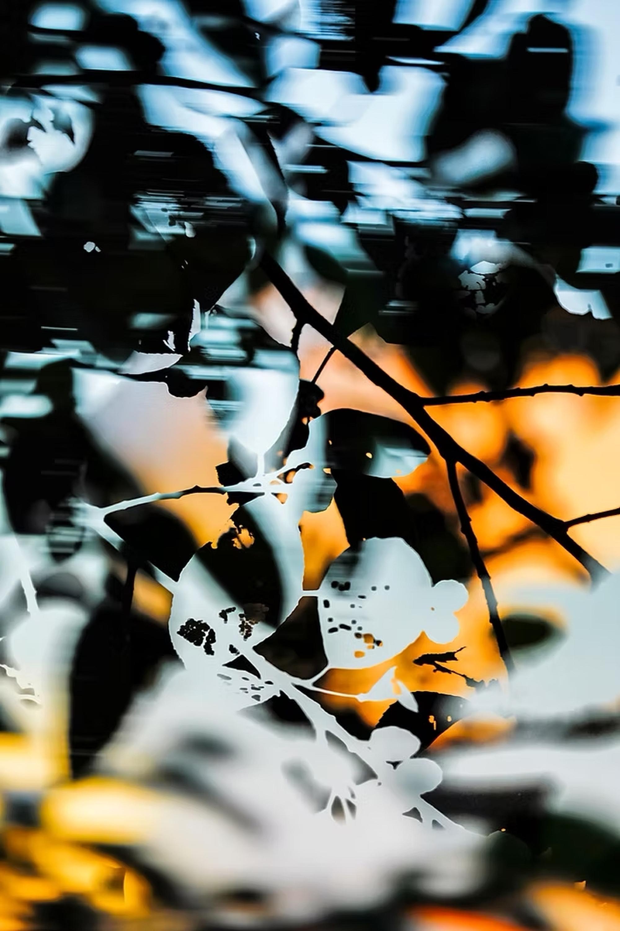 Yoshinori Mizutani Color Photograph - HDR_nature 000