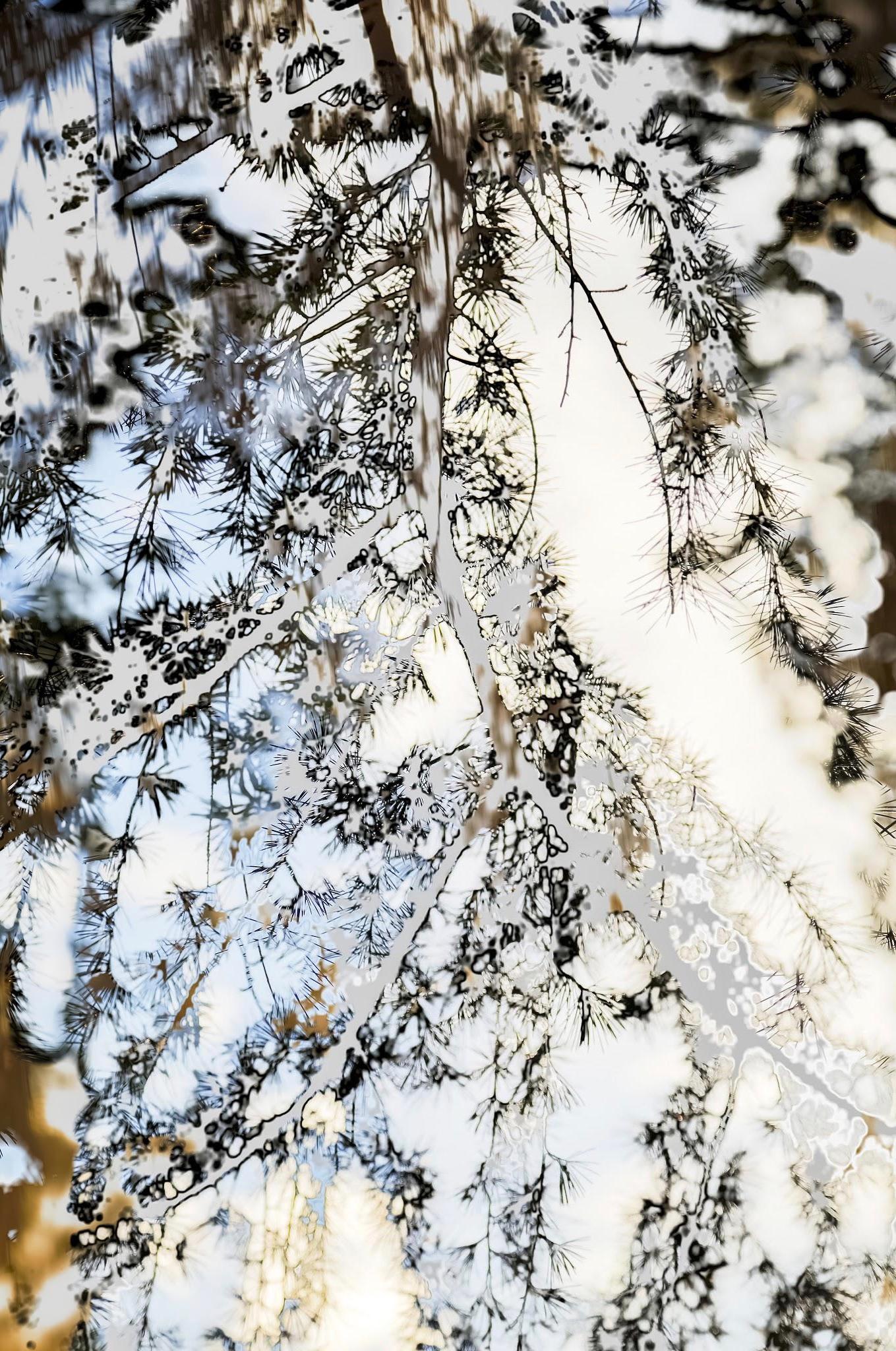 Yoshinori Mizutani Color Photograph - HDR_nature 002