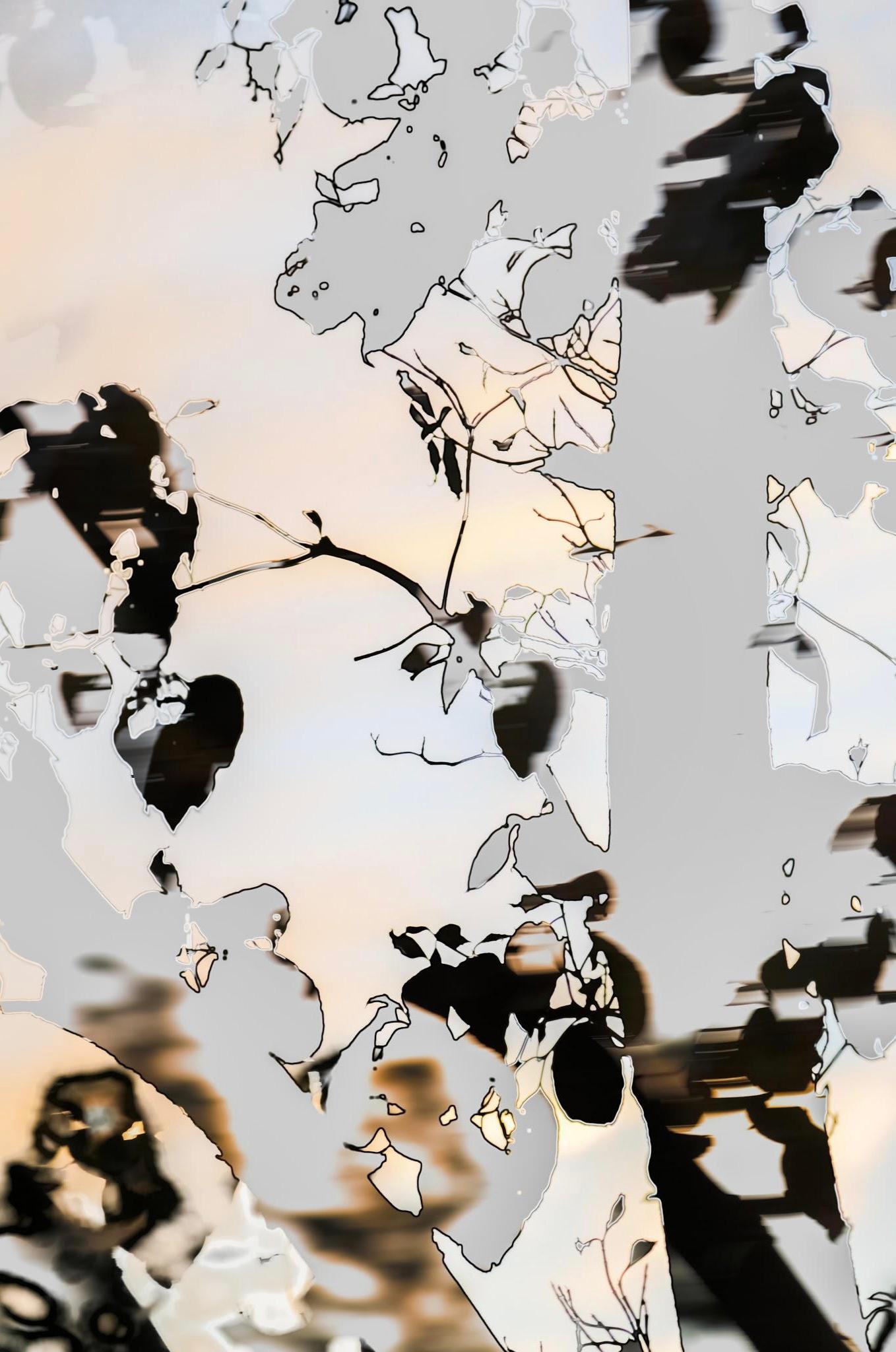 HDR_nature 003