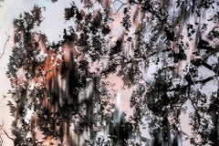 HDR_nature 005
