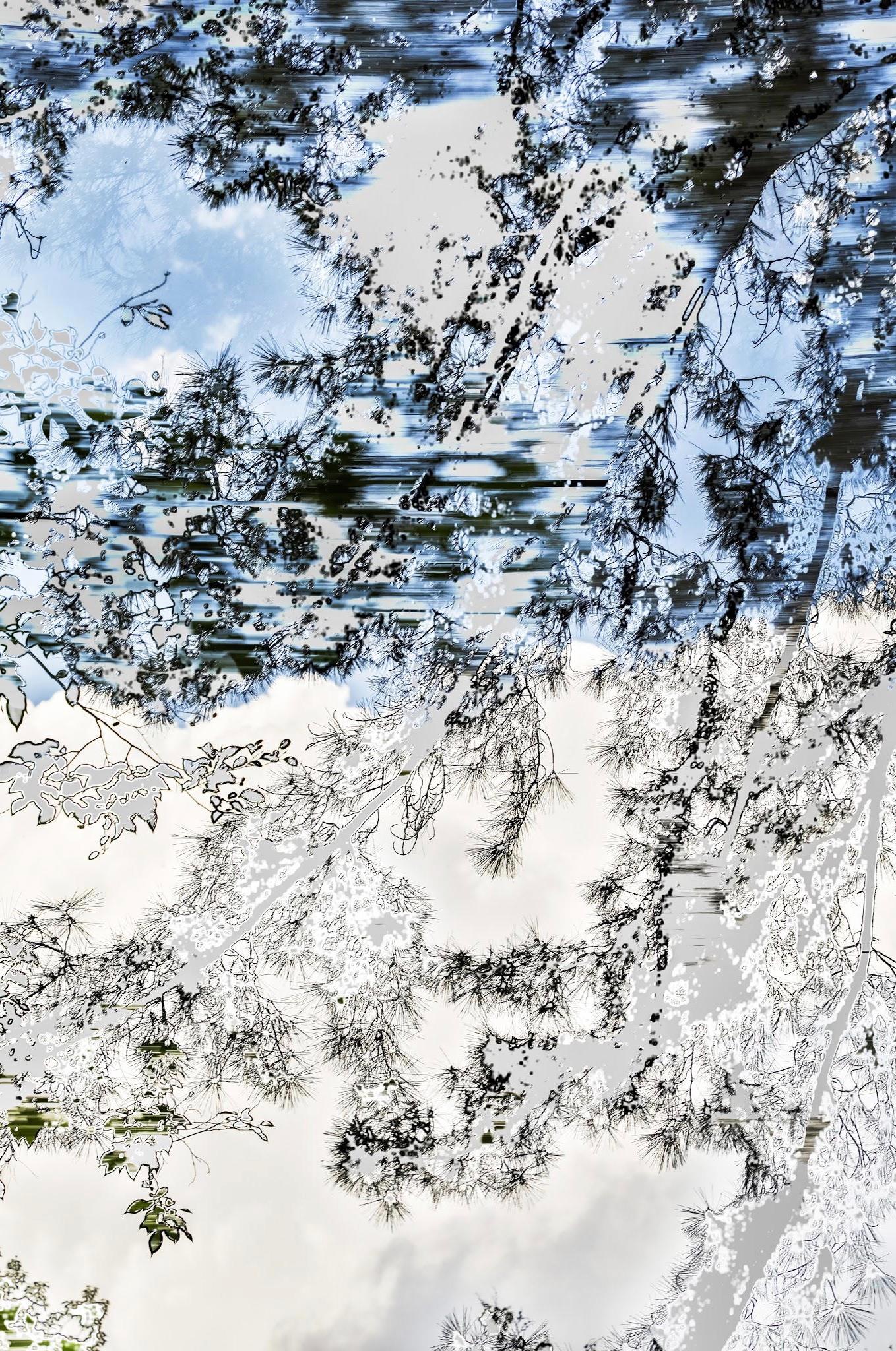 HDR_nature 006