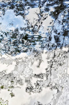 HDR_nature 006