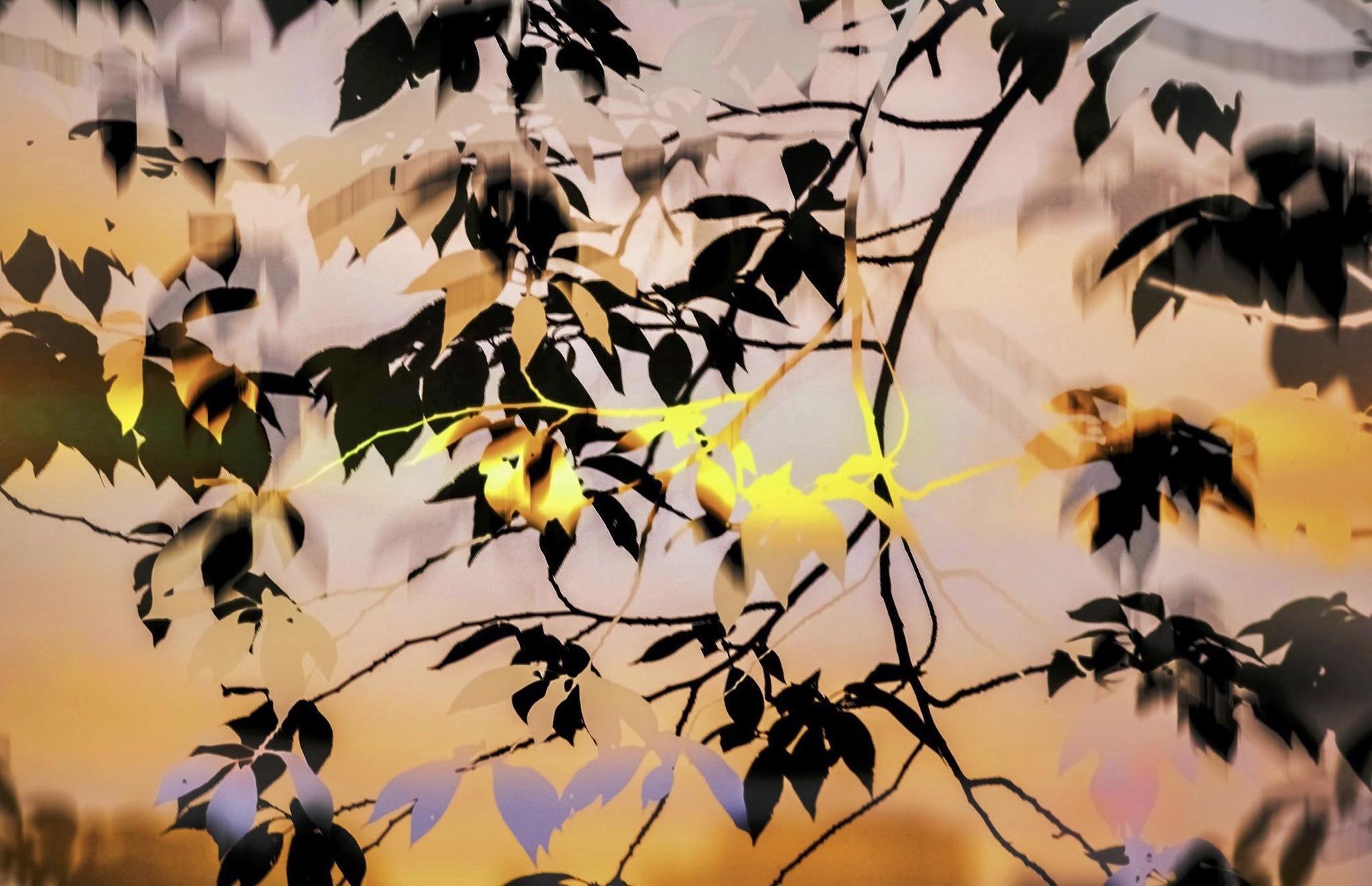 Color Photograph Yoshinori Mizutani - HDR_nature 008