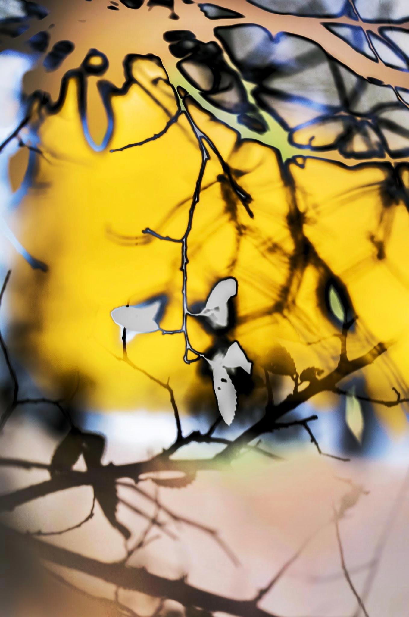 HDR_nature 010