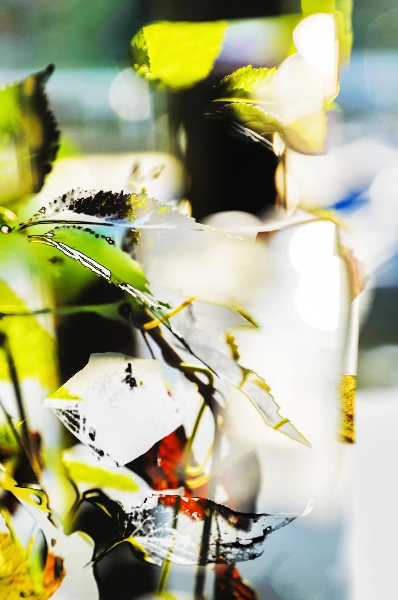 HDR_natur 011